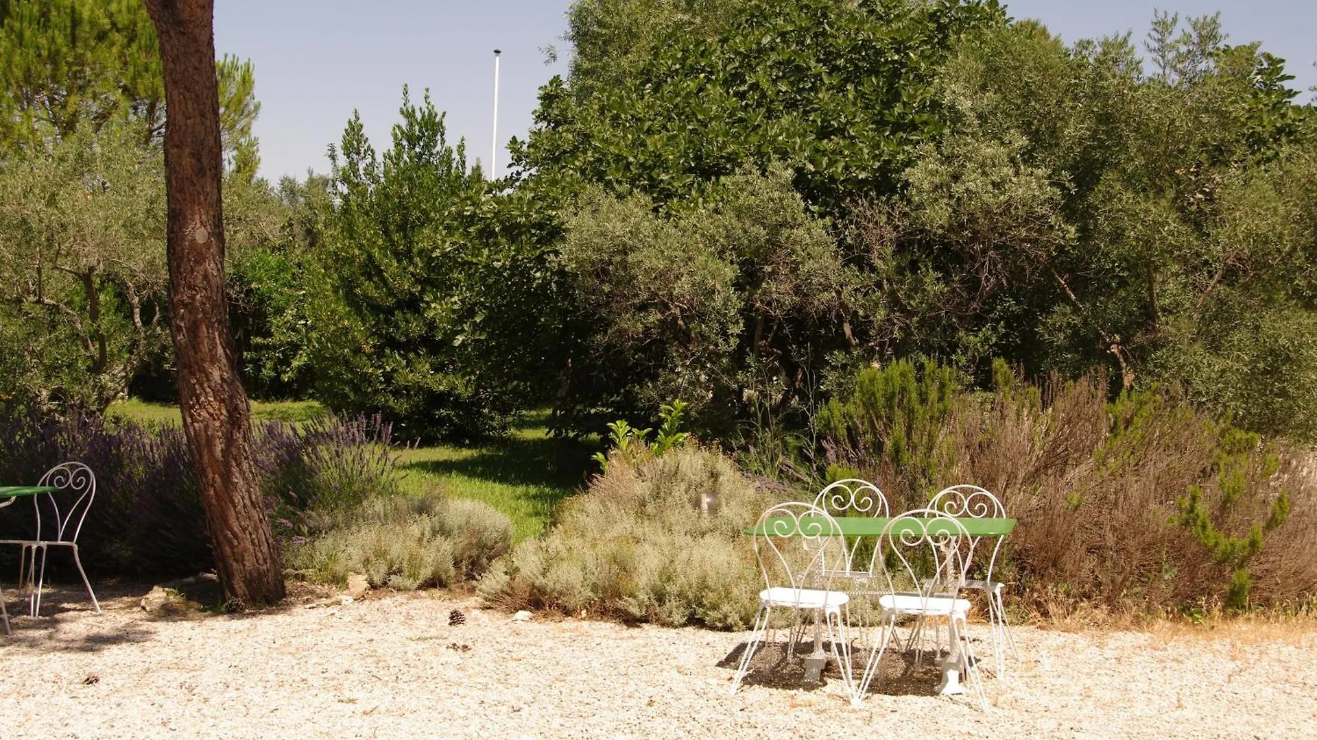 Apartment Residence Le Saint Victor Fontvieille France