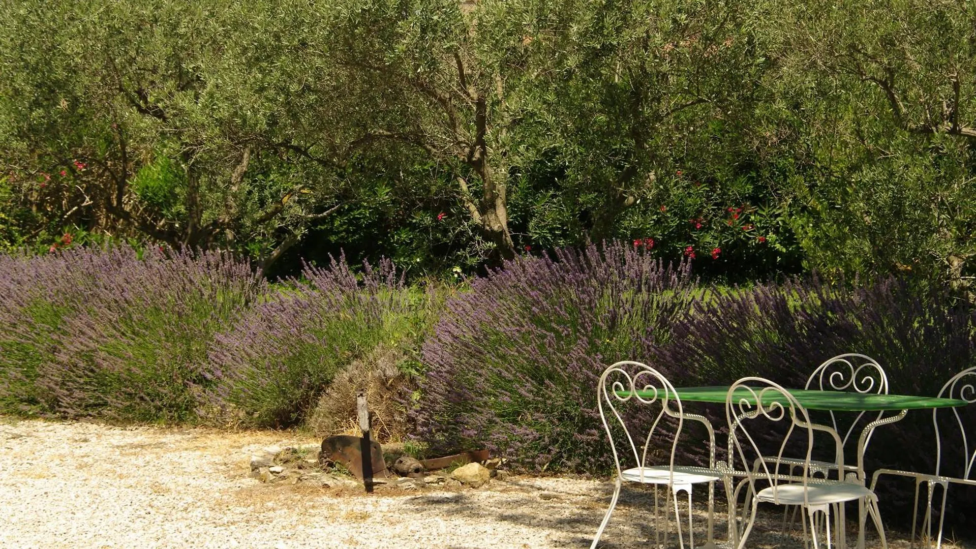 Apartment Residence Le Saint Victor Fontvieille